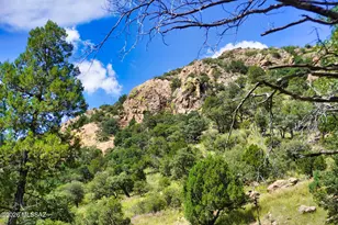 13208 E Turkey Creek Rd, Pearce, AZ 85625 - Photo 39