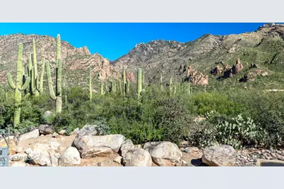 6655 N Canyon Crest Drive #1102, Tucson, AZ 85750 - Photo 29