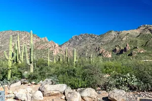 6655 N Canyon Crest Dr, Tucson, AZ 85750 - Photo 29