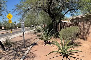 3640 N Mountain Ave N, Tucson, AZ 85719 - Photo 11