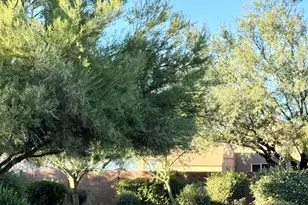8247 W Razorbill Dr, Tucson, AZ 85757 - Photo 39