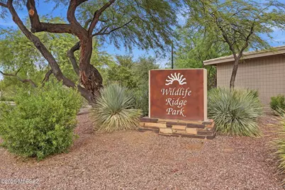 12114 N Jarren Canyon Way, Oro Valley, AZ 85755 - Photo 31