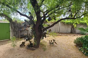 1931 W Imuris Pl, Tucson, AZ 85704 - Photo 35