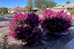 37923 S Cypress Ct, Saddlebrooke, AZ 85739 - Photo 33