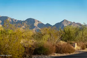 14191 N Giant Saguaro Pl, Oro Valley, AZ 85755 - Photo 1