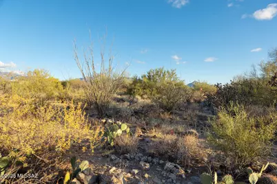 14191 N Giant Saguaro Place #23, Oro Valley, AZ 85755 - Photo 9