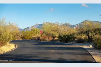 14191 N Giant Saguaro Place #23, Oro Valley, AZ 85755 - Photo 17