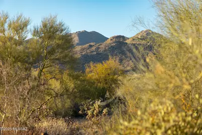 14191 N Giant Saguaro Place #23, Oro Valley, AZ 85755 - Photo 11