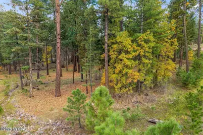 7 2190 #73, Alpine, AZ 85920 - Photo 5