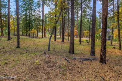 7 2190 #73, Alpine, AZ 85920 - Photo 7