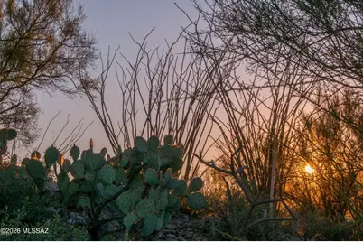 977 S Bill Martin Drive #28, Tucson, AZ 85745 - Photo 7
