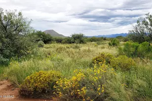 2 53 Ac E Rucker Canyon Rd, Elfrida, AZ 85610 - Photo 1