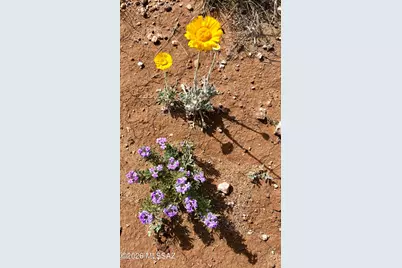 653 E Border Road, Bisbee, AZ 85603 - Photo 29
