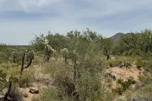 14823 S Carlsburg Ave, Tucson, AZ 85736 - Photo 1