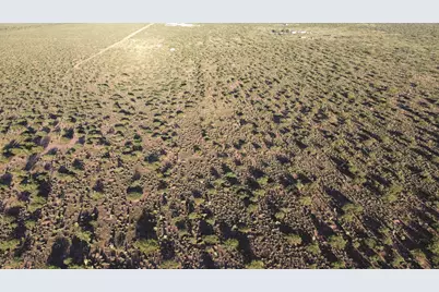 4.02 Acres E Bumble Bee Road #C, Pearce, AZ 85625 - Photo 5