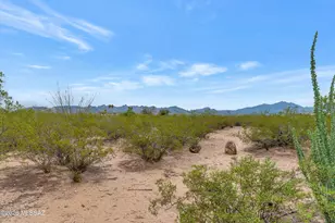 18475 S Mann Ave, Sahuarita, AZ 85629 - Photo 23