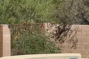 14383 E Madrona Station Pl, Vail, AZ 85641 - Photo 25