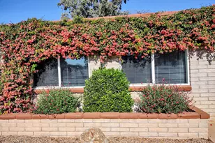 1916 Carmelita Dr, Sierra Vista, AZ 85635 - Photo 13
