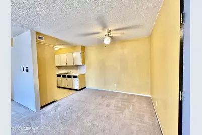 6335 N Barcelona Lane #717, Tucson, AZ 85704 - Photo 19