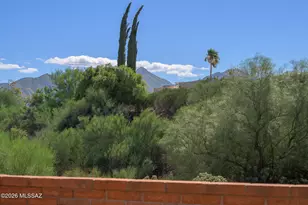 1382 W Camino Alicante, Green Valley, AZ 85622 - Photo 47