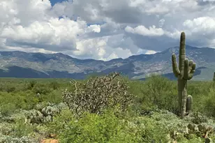 7460 S Rolling Tumbleweed Rd, Vail, AZ 85641 - Photo 39