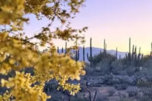 4390 W Camino Nuestro, Tucson, AZ 85745 - Photo 25