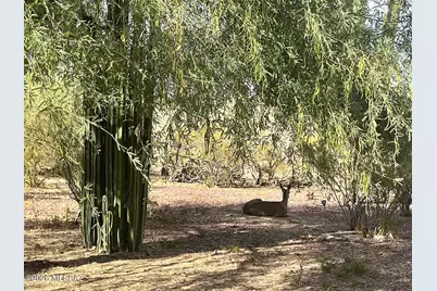 4390 W Camino Nuestro, Tucson, AZ 85745 - Photo 27