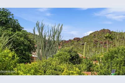 8127 W Cottonwood Wash Way, Tucson, AZ 85743 - Photo 47