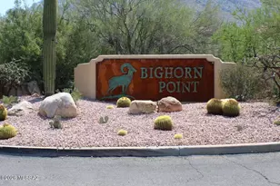 10130 N Calle Del Carnero, Oro Valley, AZ 85737 - Photo 3