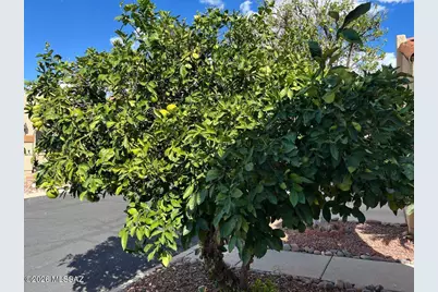 709 W Sunlight Lane, Tucson, AZ 85704 - Photo 33