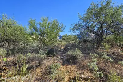 1726 E Buck Ridge Place, Tucson, AZ 85737 - Photo 7