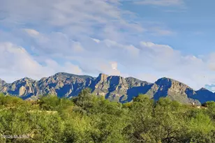 12756 N White Diamond Pl, Oro Valley, AZ 85755 - Photo 49