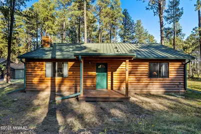 8 NE County Road 2065 #60, Alpine, AZ 85920 - Photo 1