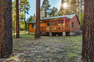 8 NE County Road 2065, Alpine, AZ 85920 - Photo 3