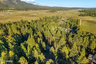8 NE County Road 2065, Alpine, AZ 85920 - Photo 25
