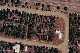 33 Acr 3117, Show Low, AZ 85901 - Photo 1