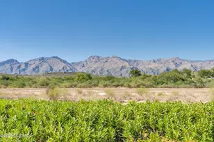 7251 E Rosslare Dr, Tucson, AZ 85715 - Photo 33