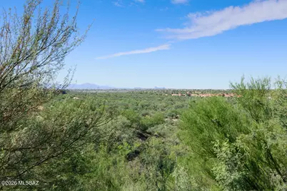 13927 N Big Wash Overlook Place, Oro Valley, AZ 85737 - Photo 5