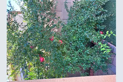 9579 E Corte Del Sol Brillante, Tucson, AZ 85748 - Photo 21