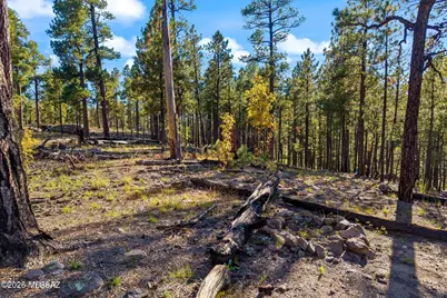 158 County Road 2266, Alpine, AZ 85920 - Photo 7