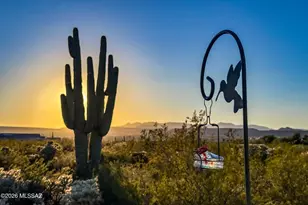 1569 N Sage Sparrow Rd, Green Valley, AZ 85614 - Photo 49