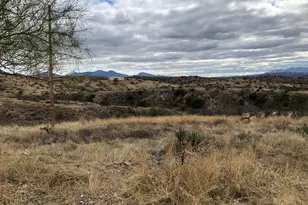 1131 Luz Ct, Rio Rico, AZ 85648 - Photo 1