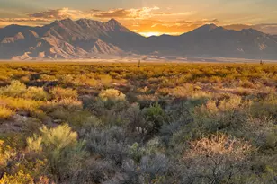 1273 E Madera Estates Ln, Sahuarita, AZ 85629 - Photo 1