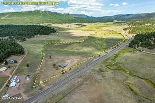 42856 US Hwy 180, Alpine, AZ 85920 - Photo 1