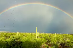 4620 W Sweetwater Dr, Tucson, AZ 85745 - Photo 1