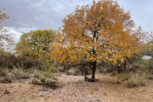 12 Acres E Camino Verde, Pearce, AZ 85625 - Photo 1