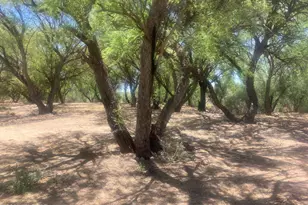 1015 W Patton St, Saint David, AZ 85630 - Photo 1