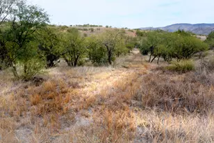 Tanglehead Ln, Patagonia, AZ 85624 - Photo 1