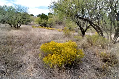 Tanglehead Lane #LOT 20, Patagonia, AZ 85624 - Photo 1