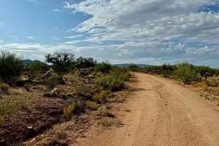 15932 W Bolo Pl, Tucson, AZ 85736 - Photo 1